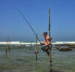 Sommerreise Sri Lanka mit Zugfahrt und Badeurlaub an der Ostküste Sri Lankas oder den Malediven