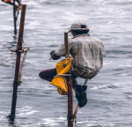 Sri Lankas natürliche Schätze und faszinierende Kultur mit Badeurlaub in Induruwa