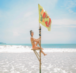 Private Sri Lanka Highlights mit Baden auf den Maldiven