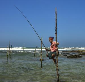 Sommerreise Sri Lanka mit Zugfahrt und Badeurlaub an der Ostküste Sri Lankas oder den Malediven