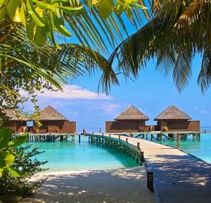 Klassische Sri Lanka Rundreise mit Strandurlaub an der Südwestküste oder auf den Malediven