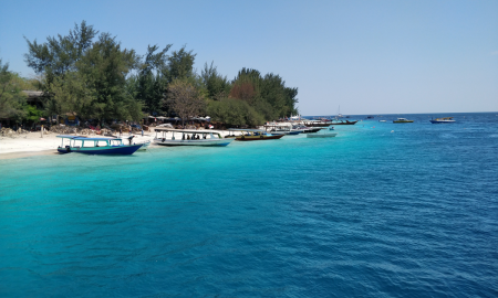 /uploads/Tours/indonesia/bali---strand-und-kultur-in-einer-insel-vereint/island-2949520.png