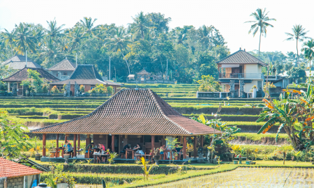 /uploads/Tours/indonesia/bali---strand-und-kultur-in-einer-insel-vereint/paddy-field-5111605.png