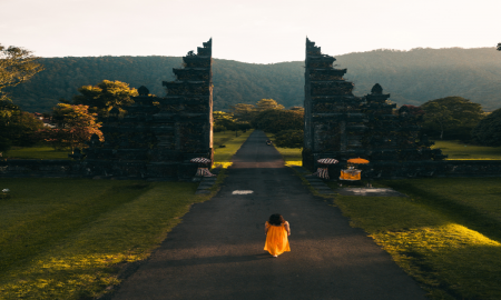 /uploads/Tours/indonesia/bali---strand-und-kultur-in-einer-insel-vereint/pexels-stijn-dijkstra-2499699.png