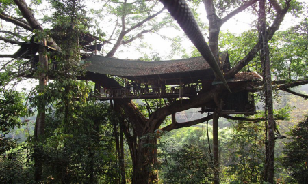 /uploads/Tours/lao/treehouse-1.png