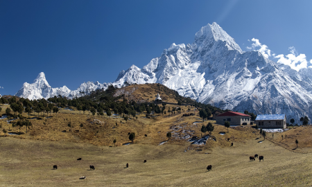 /uploads/Tours/nepan/nepal-5258059_1920.png