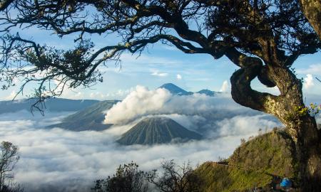 /uploads/Tours/oi02/indonesien-fur-einsteiger---rundreise-uber-java-und-entspannung-auf-bali-5.jpg