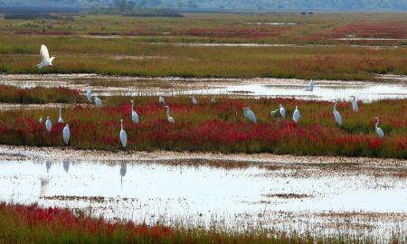 /uploads/Tours/ovk14/ov01-vietnam-verborgene-naturschatze-vietnams-mit-mekongfahrt-nach-kambodscha-4.jpg