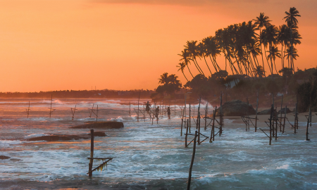 /uploads/Tours/srilanka/srilanka-/pexels-amith-anuradha-4858117.png