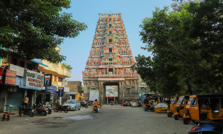 /uploads/Tours/srilanka/srilanka-/pexels-varan-nm-6667282.png