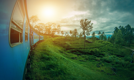 /uploads/Tours/srilanka/srilanka-/srilanka-2792097_1920.png