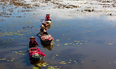 /uploads/Tours/vietnam/vn/pexels-quang-nguyen-vinh-2138301.png
