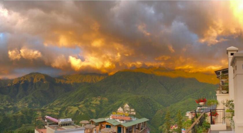 Cat Cat Galerie d'Art_55251