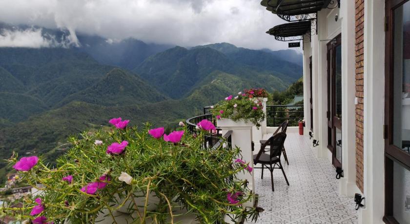 Cat Cat Galerie d'Art_55252