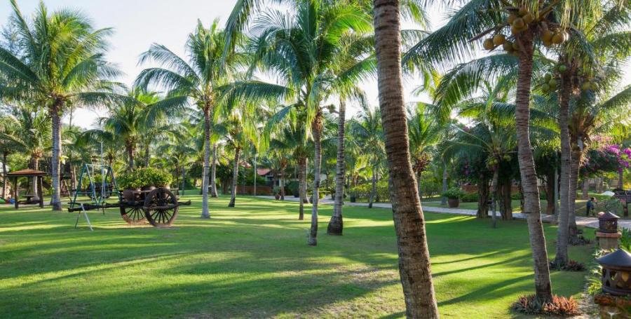 Pandanus Resort_57308