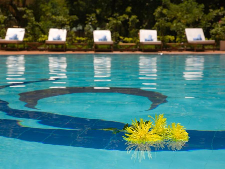 Park view Hotel_55469