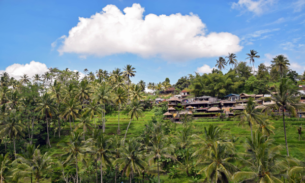 Private Kombinationsreise Bali & Singapur_64724