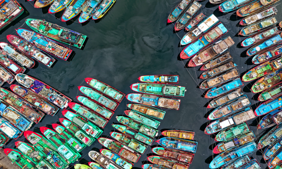 Indonesien intensiv – Kalimantan, Java, Sulawesi und Bali_65174