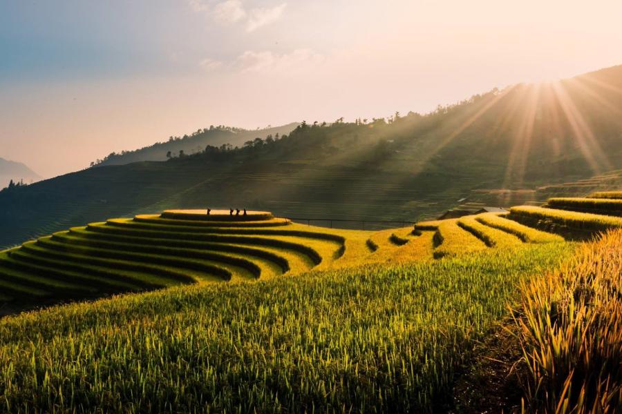 Vietnam privat und intensiv mit Sapa und Badeurlaub in Phan Thiet / Mui Ne_65489 Vietnam privat und intensiv mit Sapa und Badeurlaub in Phan Thiet / Mui Ne_65489