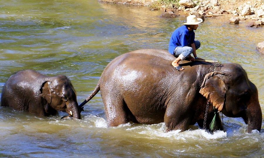 Entdeckerreise Laos_64798