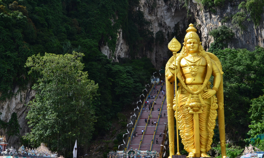 Dschungel, Tee und Badeurlaub - Quer durch Malaysia_65565