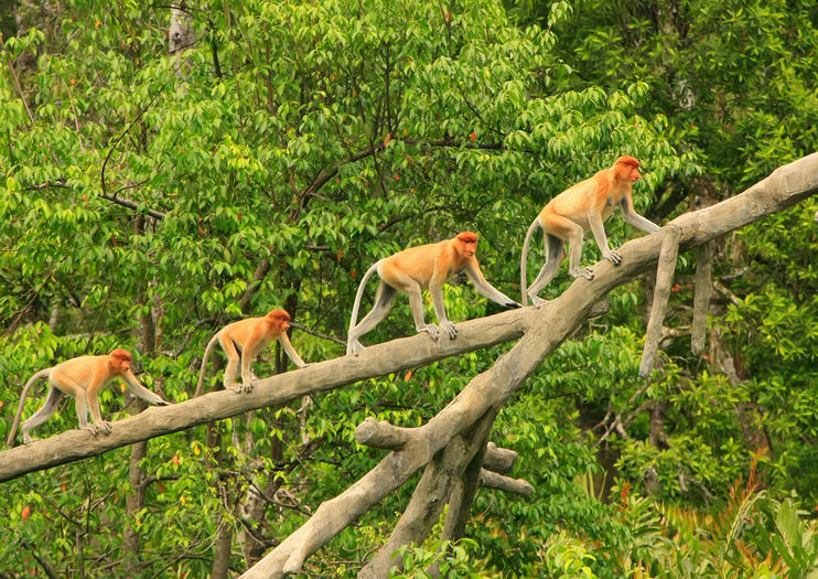 Höhepunkte Malaysias mit Singapur_65577 Höhepunkte Malaysias mit Singapur_65577