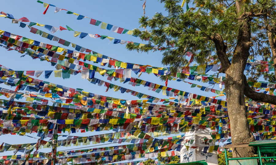Nepal intensiv und zu Fuß_64887 Nepal intensiv und zu Fuß_64887