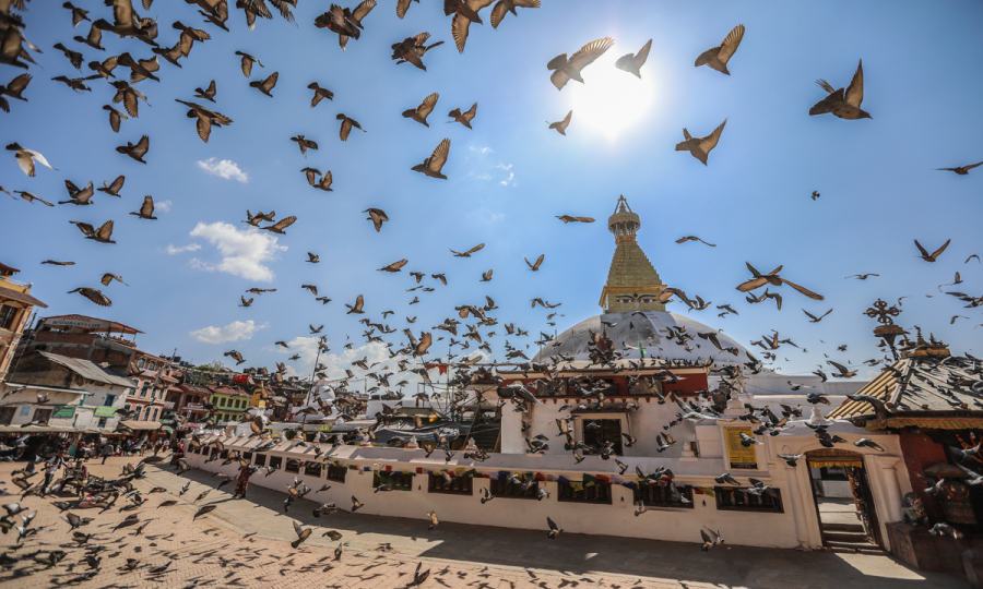 Nepal intensiv und zu Fuß_64886 Nepal intensiv und zu Fuß_64886