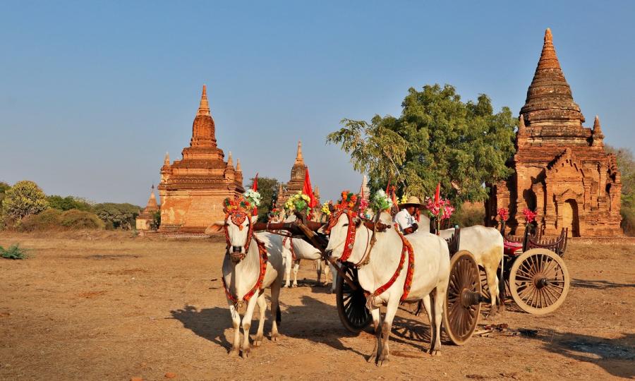 Rund um den Golf von Martaban und Zentral-Myanmar_65205 Rund um den Golf von Martaban und Zentral-Myanmar_65205