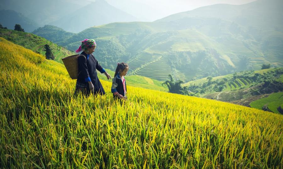 Vietnam komplett - von den Reisterrassen im Norden bis zu den Traumstränden im Süden_65509 Vietnam komplett - von den Reisterrassen im Norden bis zu den Traumstränden im Süden_65509