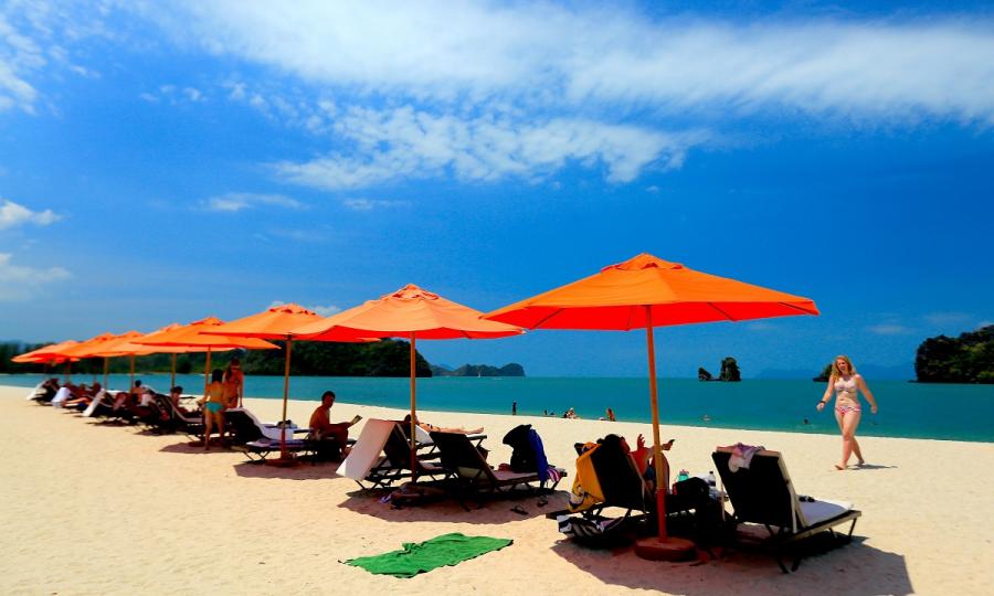 Dschungel, Tee und Badeurlaub - Quer durch Malaysia_65566