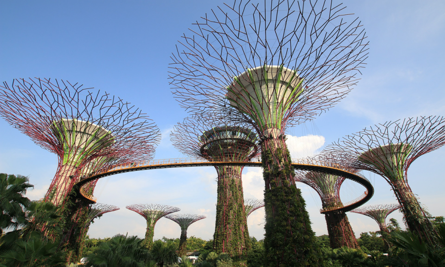 Kombinationsreise Singapur, Java und Bali_65194