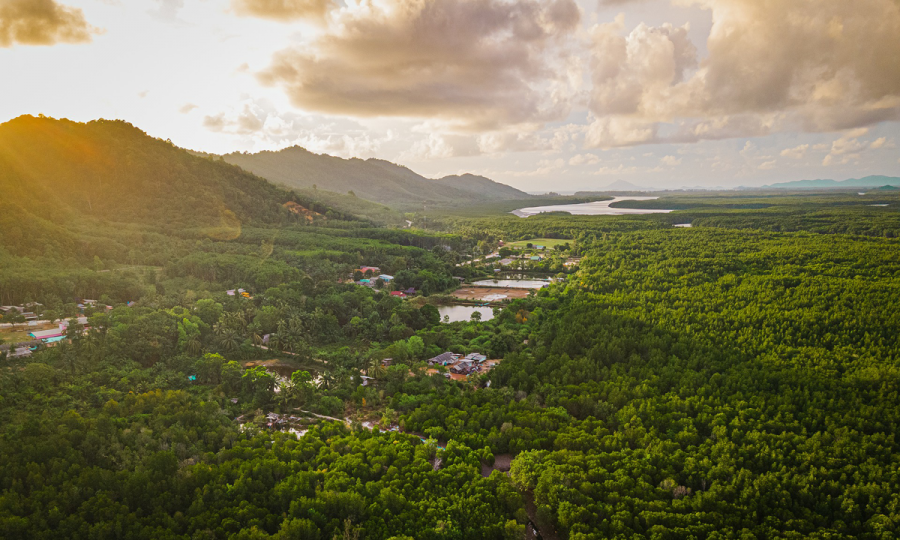 Phuket – Krabi Inselhopping_64652 Phuket – Krabi Inselhopping_64652